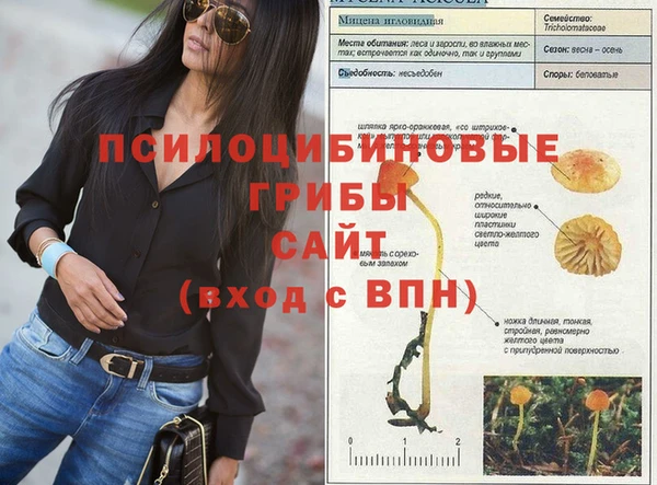 таблы Инсар